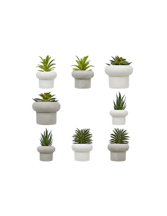 PIANTA GRASSA 210231 STEFI ASSORTITO 15CM VASO CEMENTO