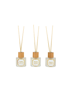 SET 3 DIFFUSORI 211695 ELISA 45ML VETRO