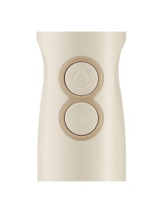 Frullatore a immersione Tognana 400W con accessori | Tre G Ingrosso