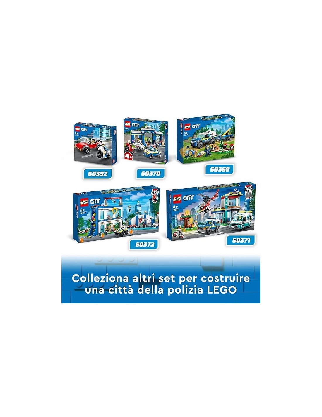 CITY ADDESTRAMENTO CINOFILO MOBILE 60369 su TreG Ingrosso