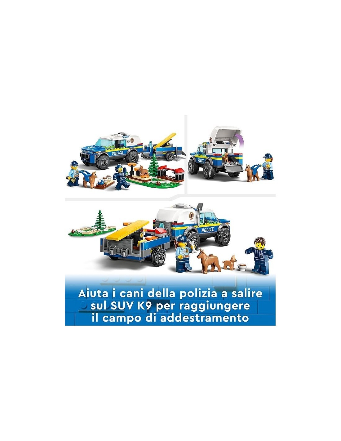 CITY ADDESTRAMENTO CINOFILO MOBILE 60369 su TreG Ingrosso