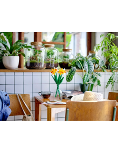 CREATOR NARCISI 40747 LEGO