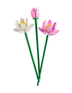 LEGO Creator Fiori di Loto 40647, Bouquet da Costruire con 2 Fiori e 1 Bocciolo, Decorazione Casa, Idea Regalo 2