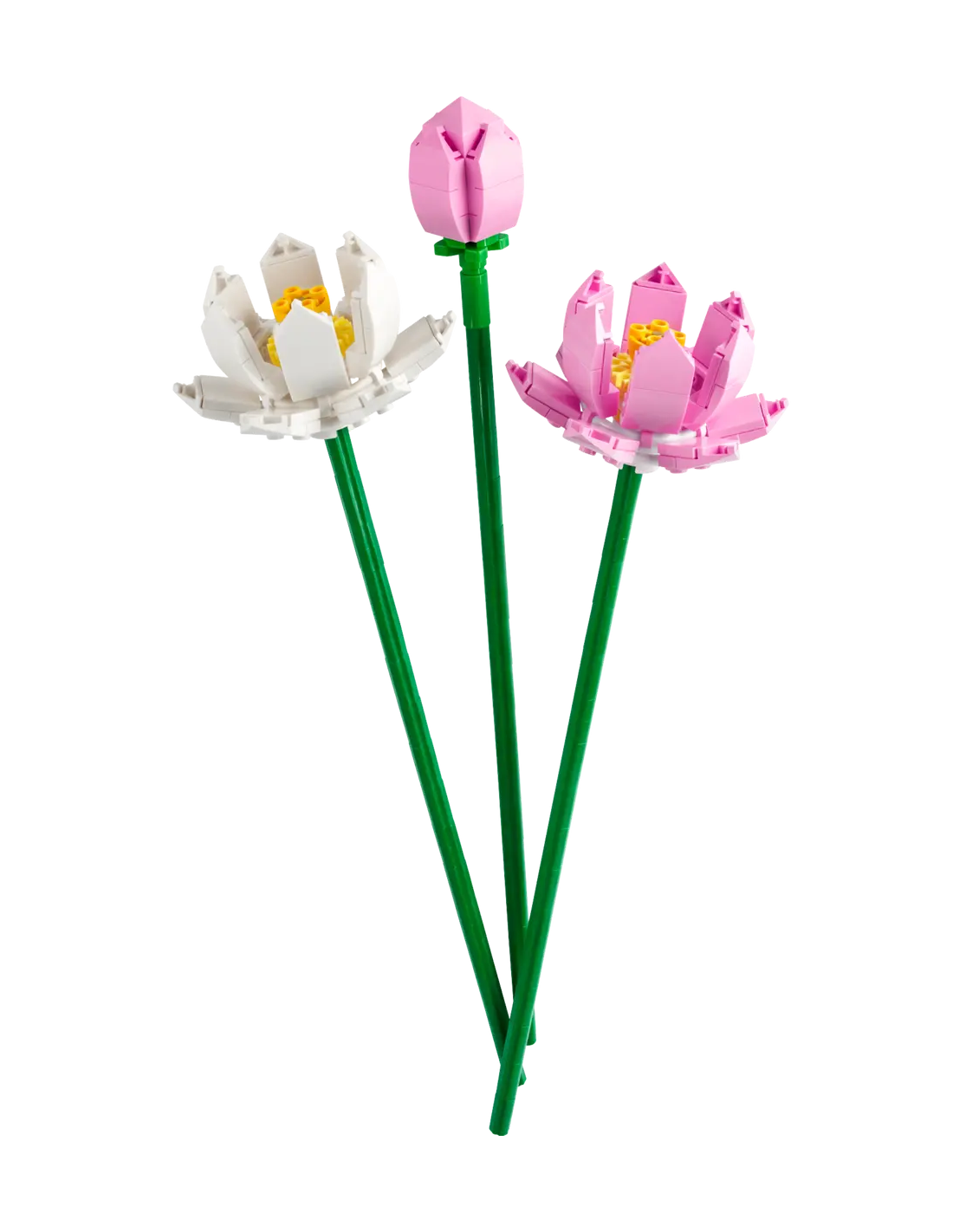 LEGO Creator Fiori di Loto 40647, Bouquet da Costruire con 2 Fiori e 1 Bocciolo, Decorazione Casa, Idea Regalo