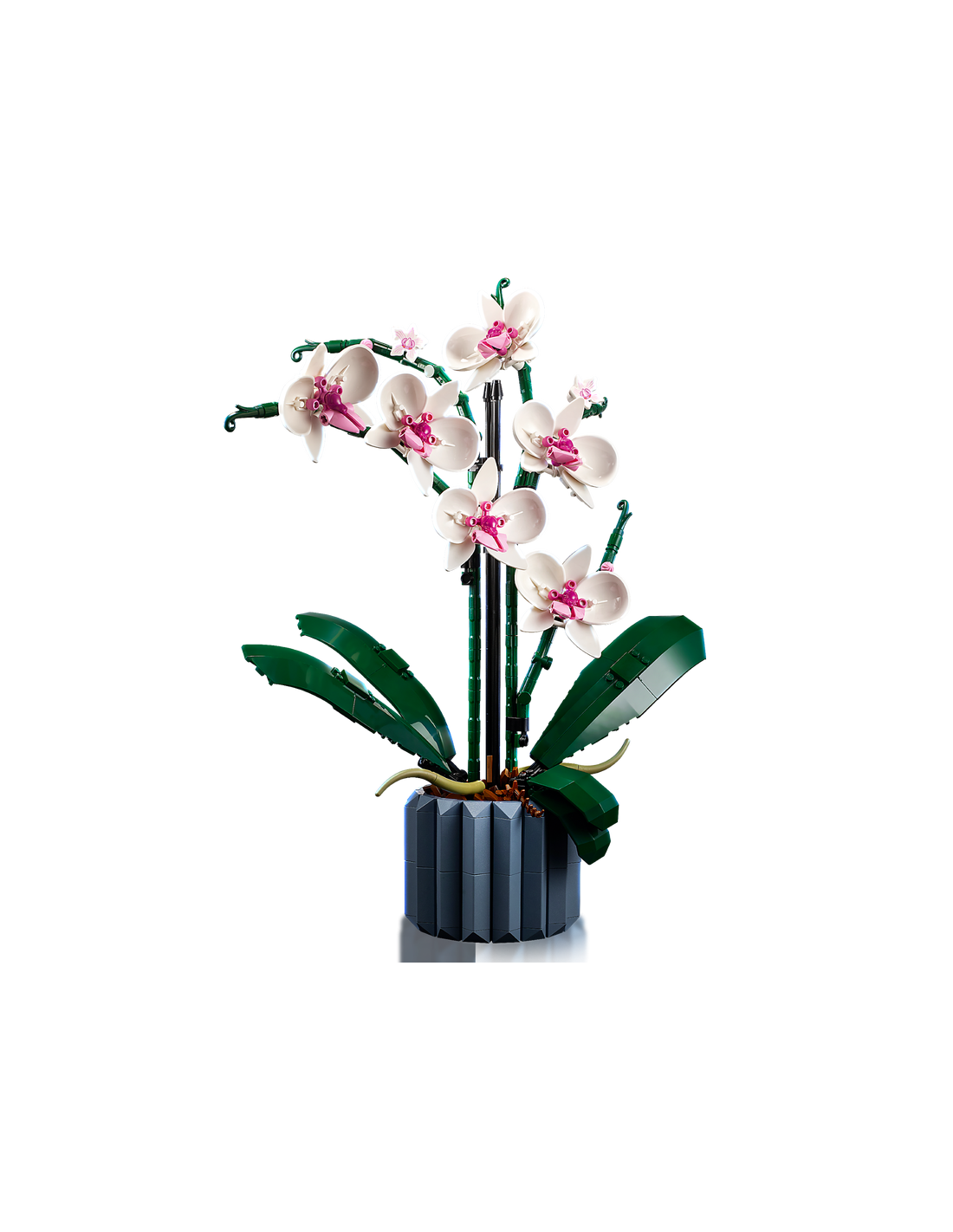 Lego Botanical collection Orchidea