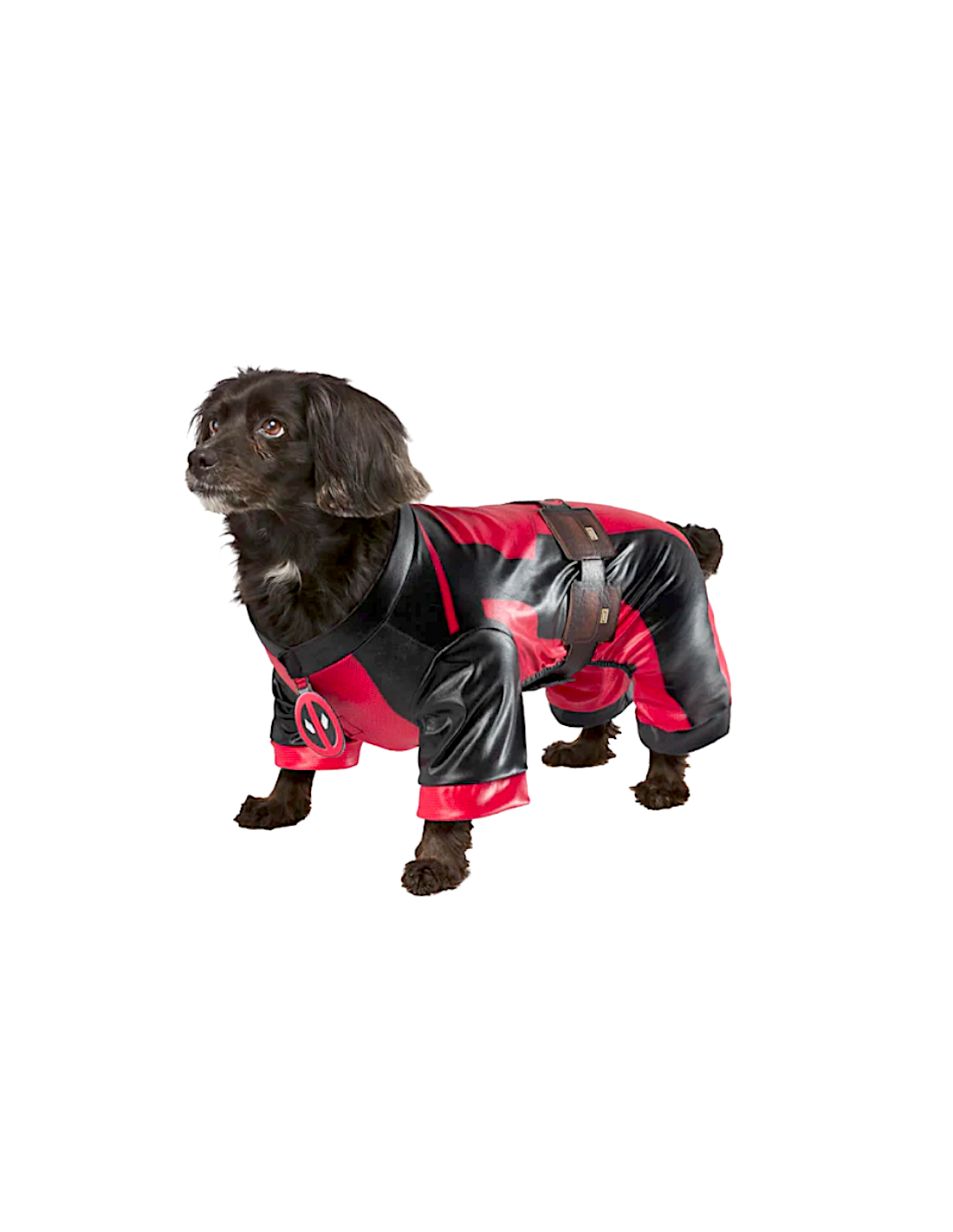 COSTUME PER CANI 3000339-M DOGPOOL TAGLIA M