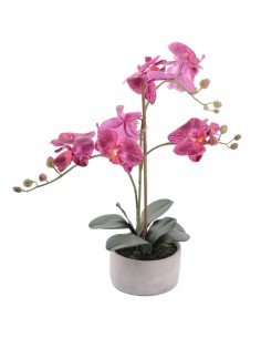PIANTA 6161-07 ORCHIDEE FUCSIA CON VASO