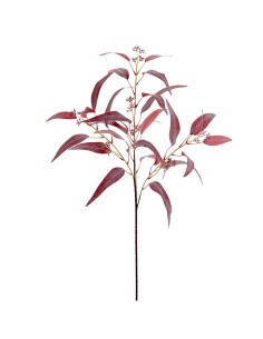 RAMO 6269-17 FOGLIE EUCALIPTO BORDEAUX