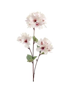 FIORE 4693-71 GIGLIO PERUVIANO BIANCO