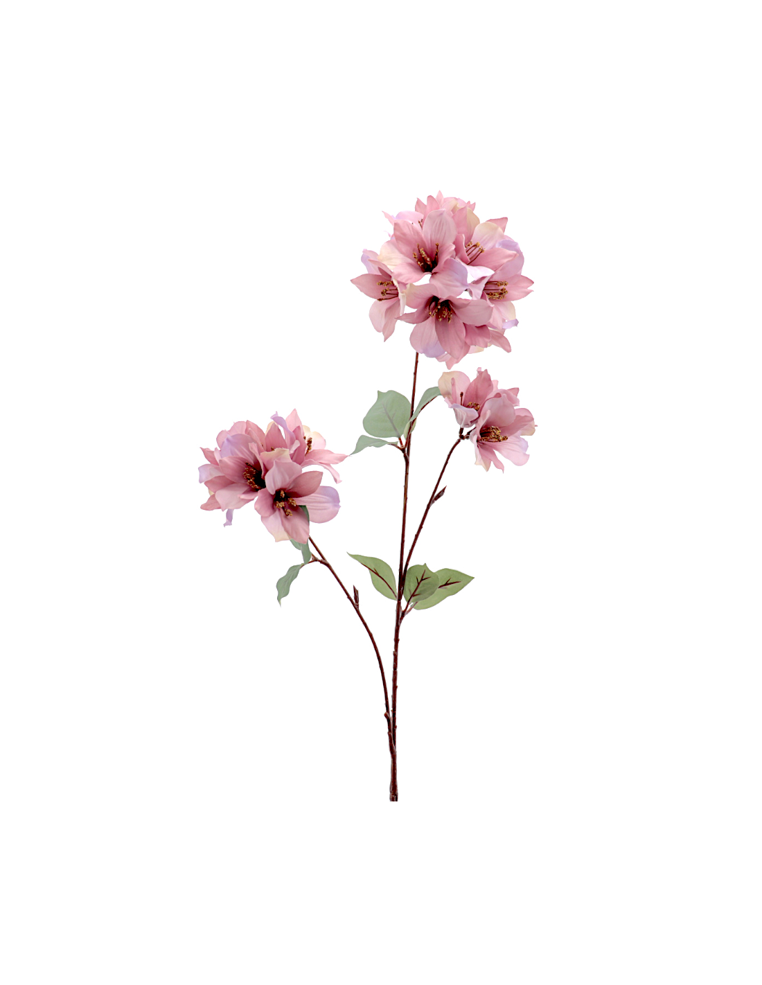 FIORE 4693-06 GIGLIO PERUVIANO MALVA