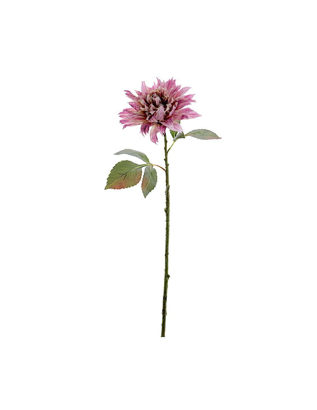 FIORE 6285-06 DAHLIA MALVA