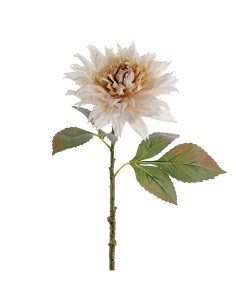 FIORE 6285-31 DAHLIA BEIGE