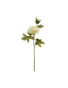 FIORE 2511-01 PEONIA CREMA CON BOCCIOLO