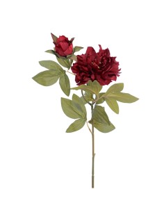 FIORE 2511-38 PEONIA ROSSA CON BOCCIOLO