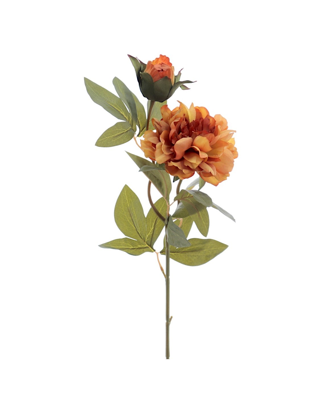 FIORE 2511-51 PEONIA SIENA CON BOCCIOLO