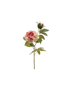 FIORE 2511-12 PEONIA ROSA CON BOCCIOLO