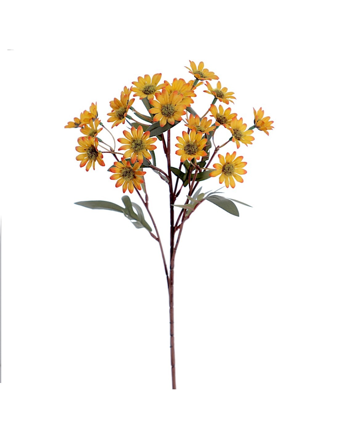 STELO 4849-02 MARGHERITE ARANCIONI