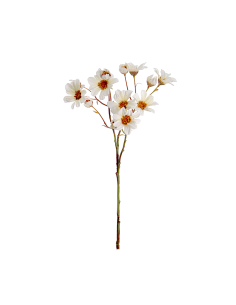 STELO 1105-01 MARGHERITE BIANCHE