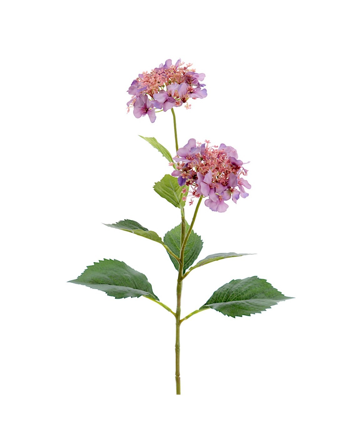 STELO 4766-16 ORTENSIE VIOLA