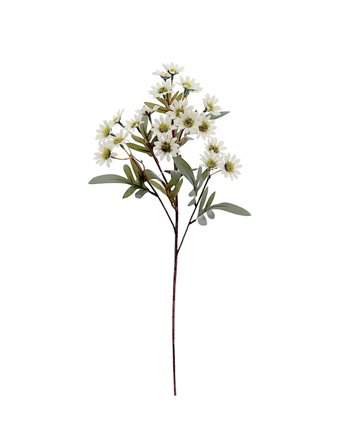 STELO 4849-01 MARGHERITE BIANCHE