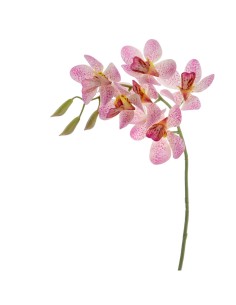 FIORE 3017-12 ORCHIDEA VANDA ROSA