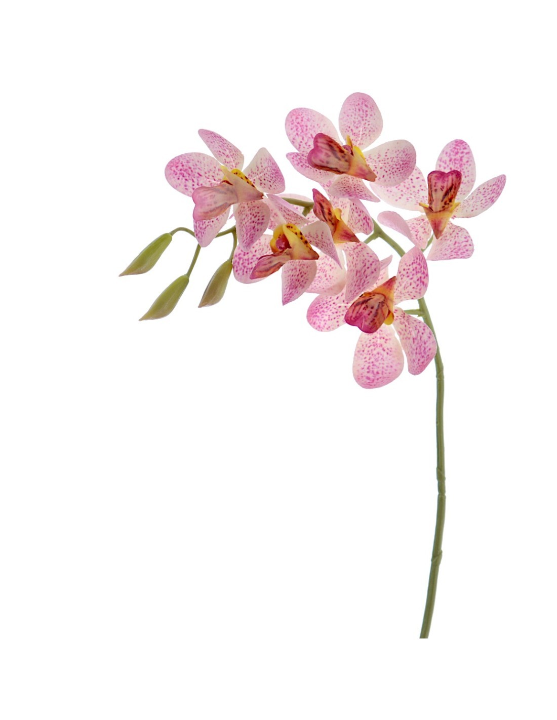 FIORE 3017-12 ORCHIDEA VANDA ROSA