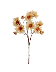 STELO 1105-31 MARGHERITE BEIGE