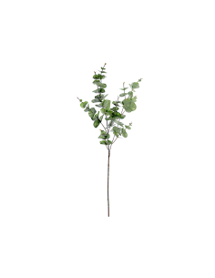 STELO 2639-09 EUCALIPTO FOGLIE VERDI