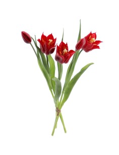 MAZZO 2753-08 3 TULIPANI ROSSI CON BOCCIOLI