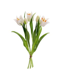 MAZZO 2753-01 3 TULIPANI BIANCHI CON BOCCIOLI