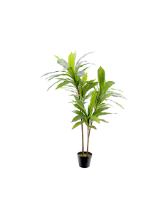 PIANTA 7172-09 DRACAENA VERDE 120CM CON VASO