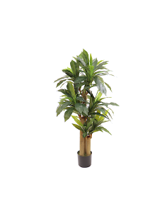PIANTA 7170-09 DRACAENA VERDE 150CM CON VASO