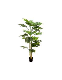 PIANTA 7152-09 MONSTERA VERDE 150CM CON VASO