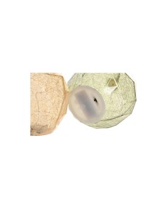 Decorazioni Luminose in Cristallo a Forma di Mela 12x12x17 cm 2 Modelli Assortiti 2