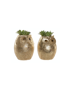 Piantina in Vaso Gufo Resina 11x18 cm Assortita