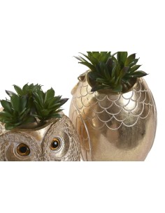 Piantina in Vaso Gufo Resina 11x18 cm Assortita 2