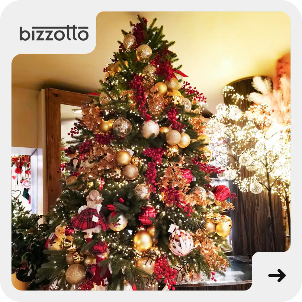 Bizzotto Andrea Natale